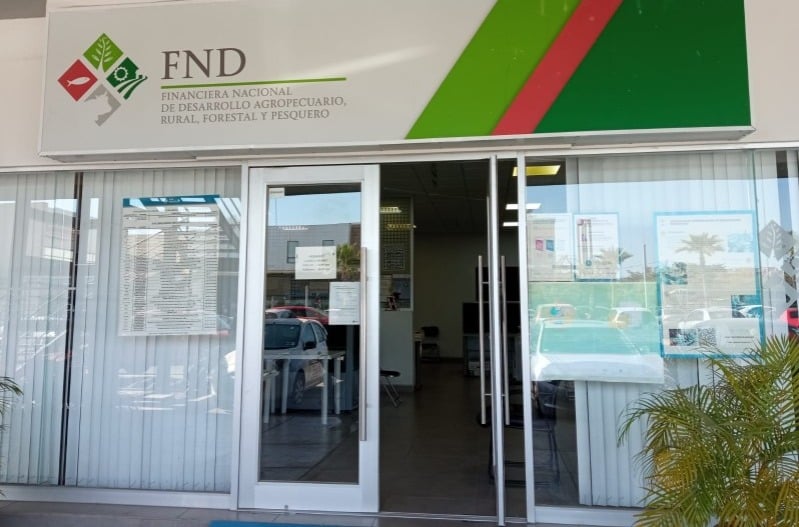 FND