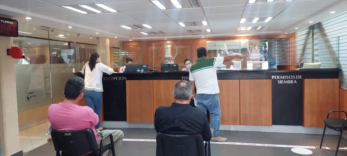 Pendientes del SMN: Se salva Sinaloa de heladas en cultivos; frente frío no los abarca: González