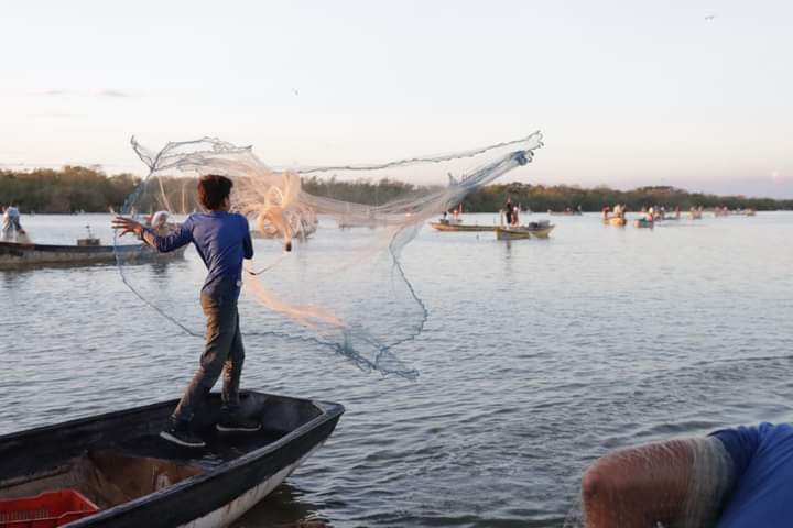 pesca_camarón_mazatlán