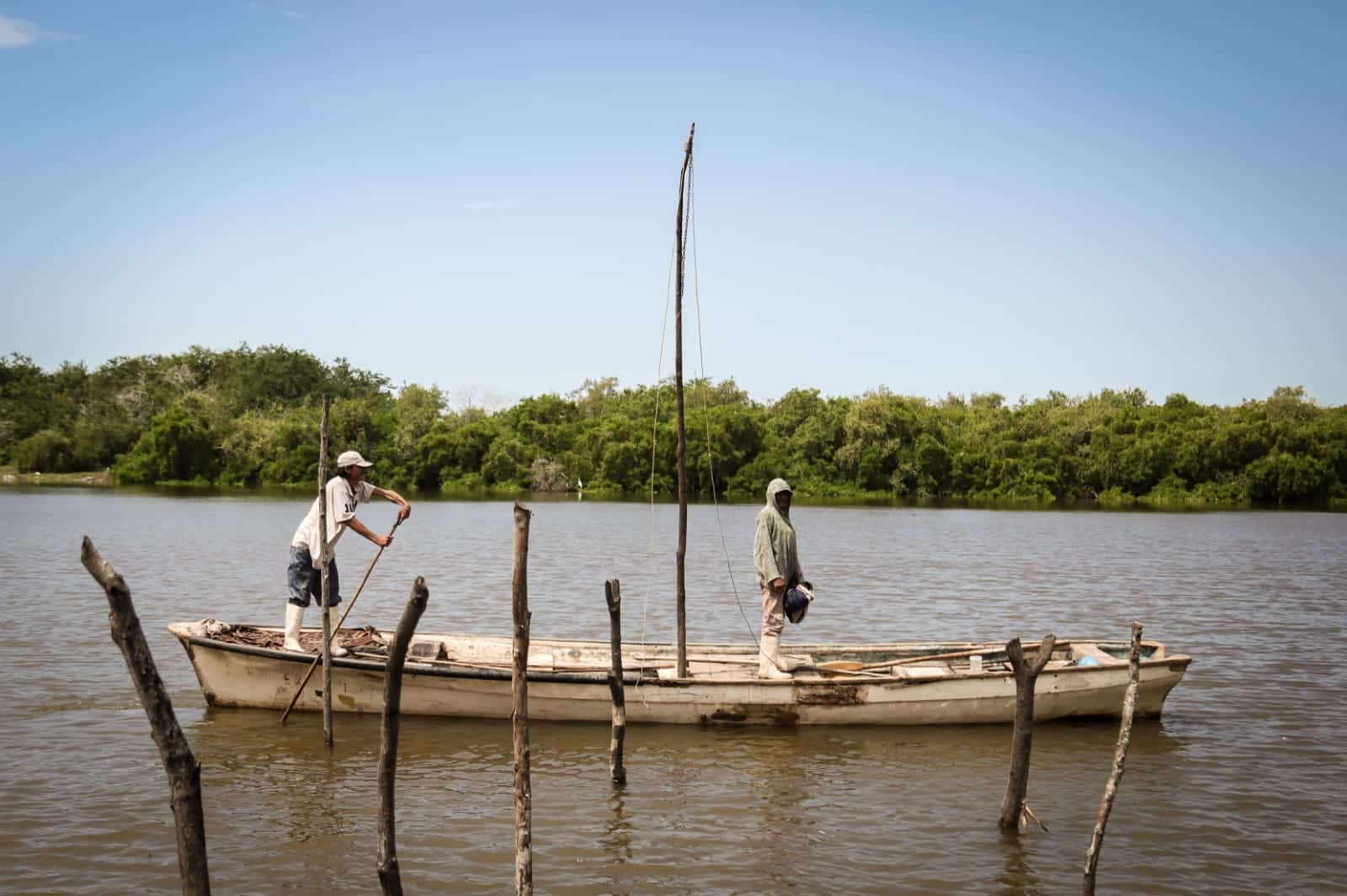 La temporada buena del camarón parece estarse acabando; en Navolato es menor la pesca