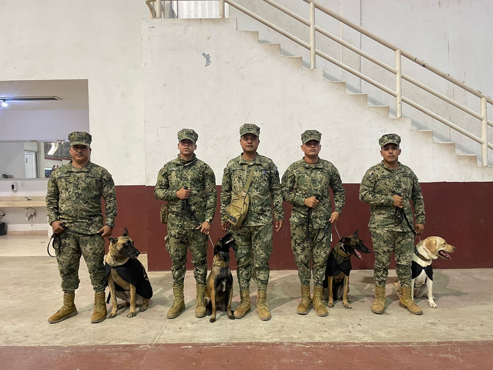 Una causa con amor Los Mochis