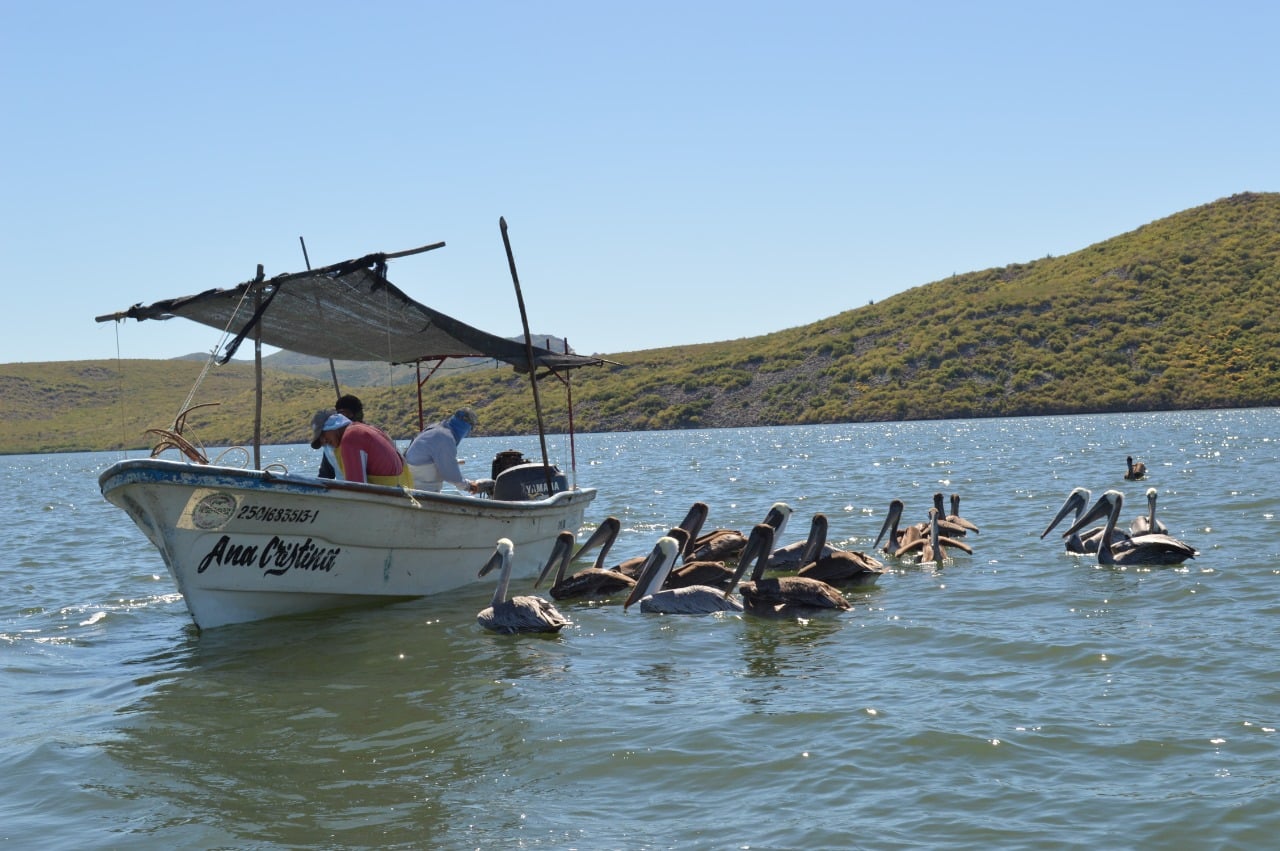 Bahía de Ohuira