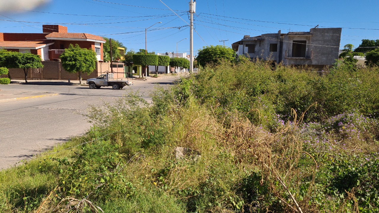baldíos