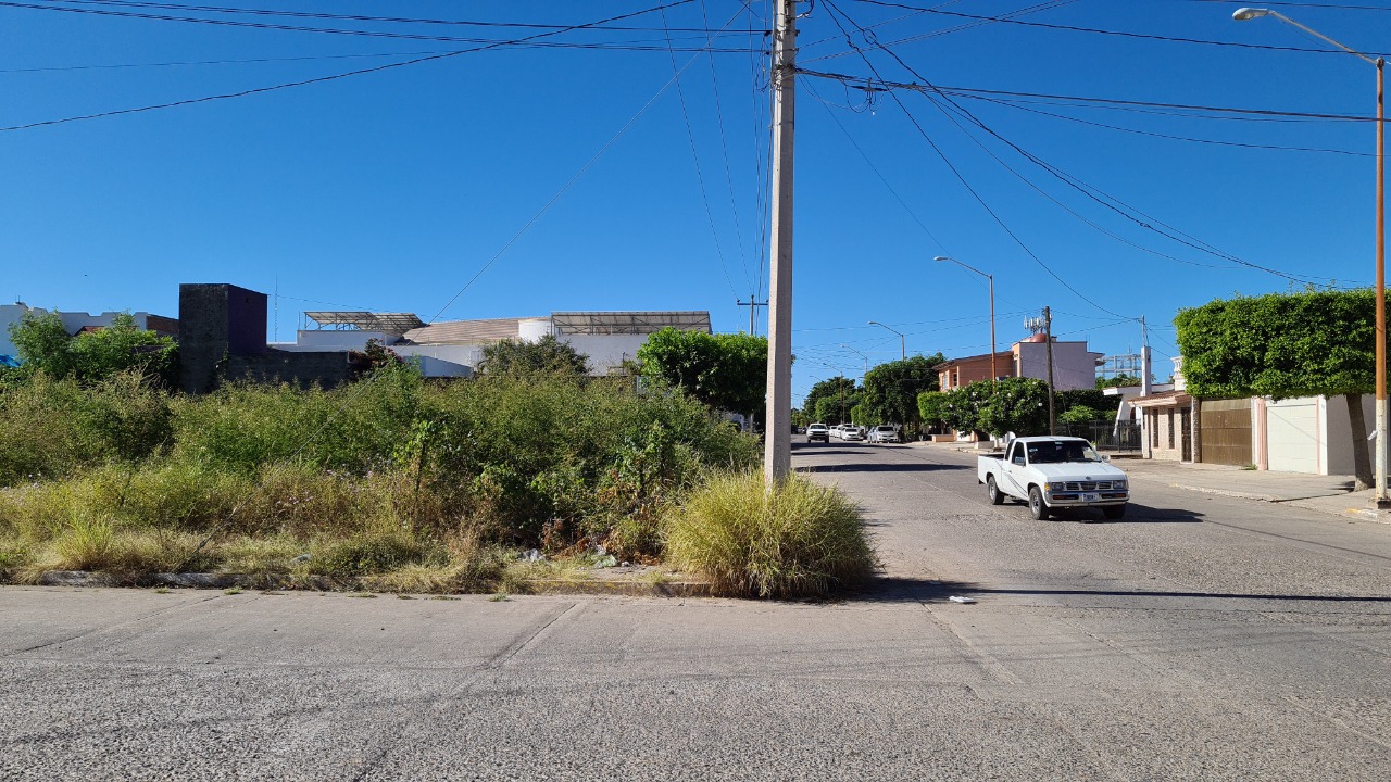 baldíos