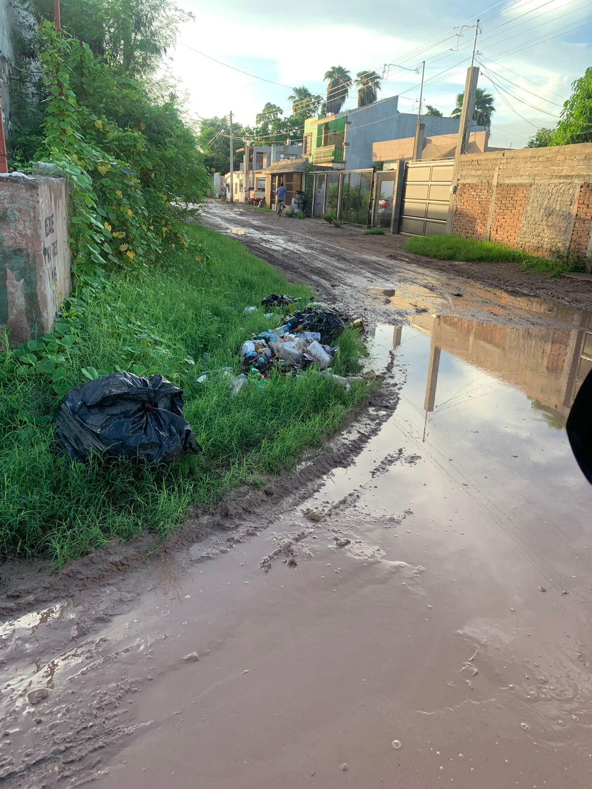 ¿OP Ecología ya regularizó el servicio de recolección de basura? Esto dice Servicios Públicos