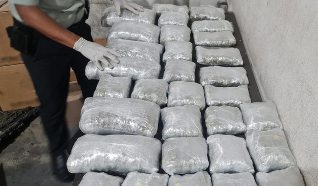 cargamento marihuana cancún