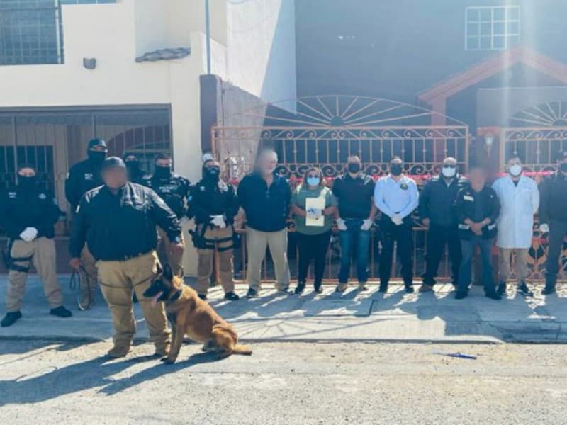 Decomiso marihuana Coahuila