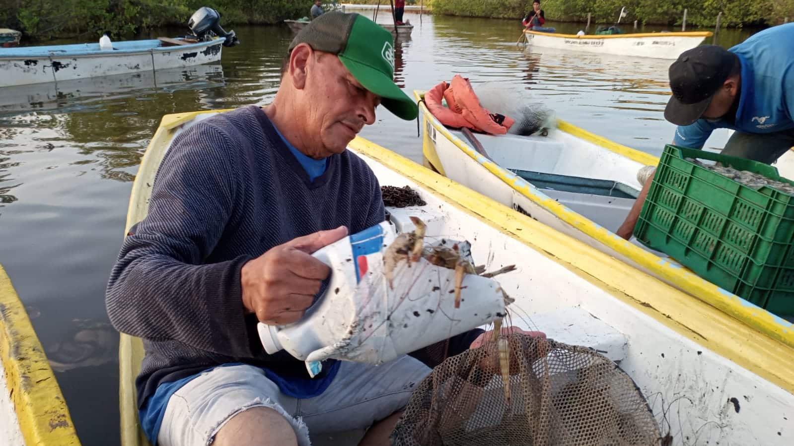 pesca camarón