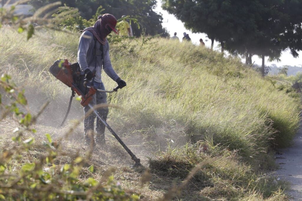 Retiran 12 toneladas de basura de camellones de la avenida Genaro Estrada, en el norte de la ciudad