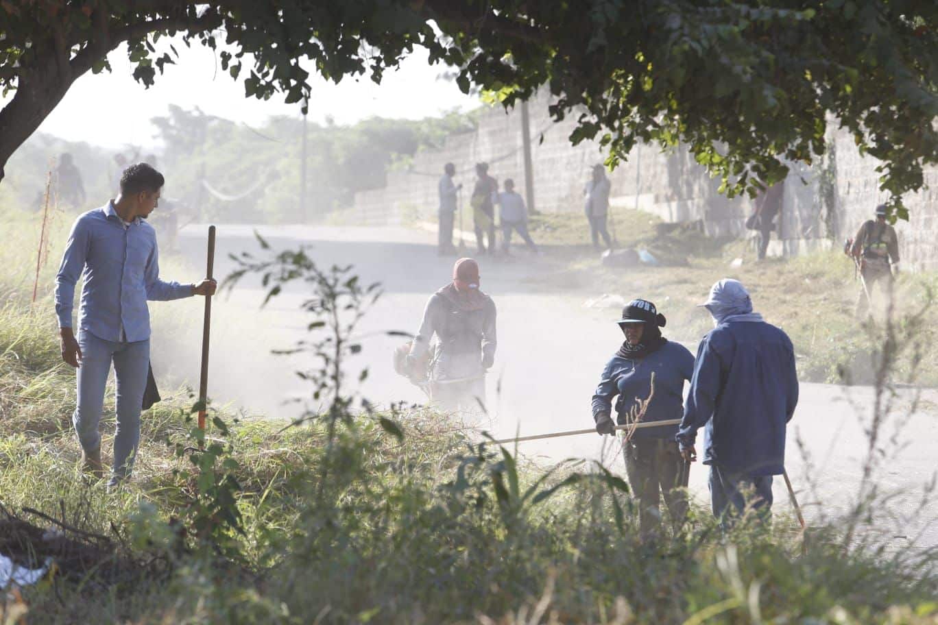 Retiran 12 toneladas de basura de camellones de la avenida Genaro Estrada, en el norte de la ciudad