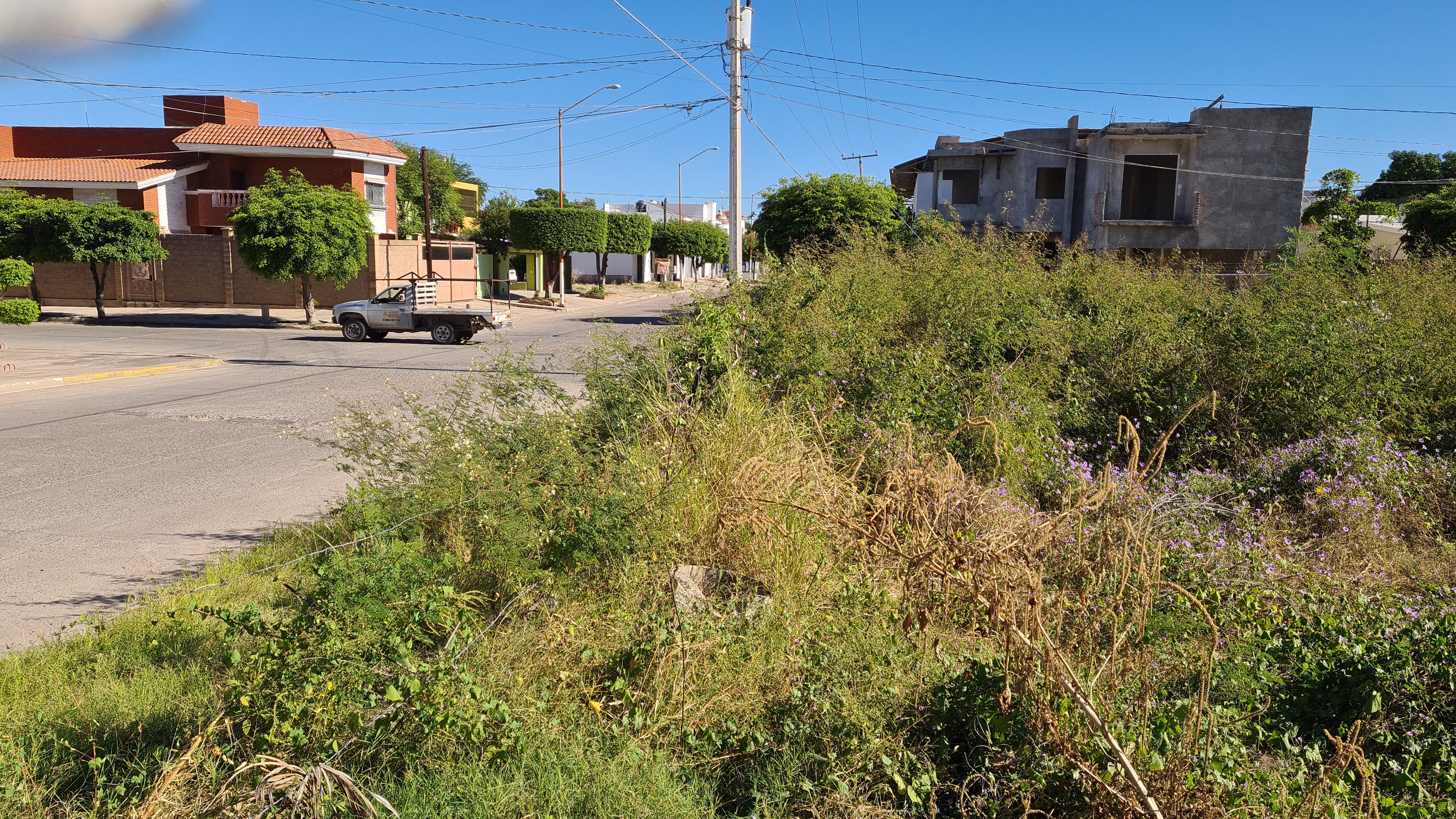 Baldíos en Guamúchil