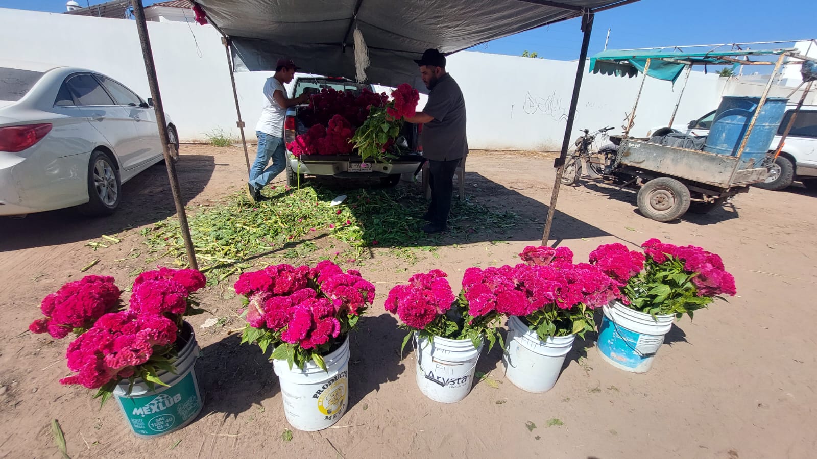 COMERCIO