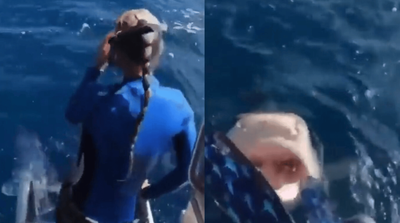 Científica por poco se arroja a la boca de un tiburón