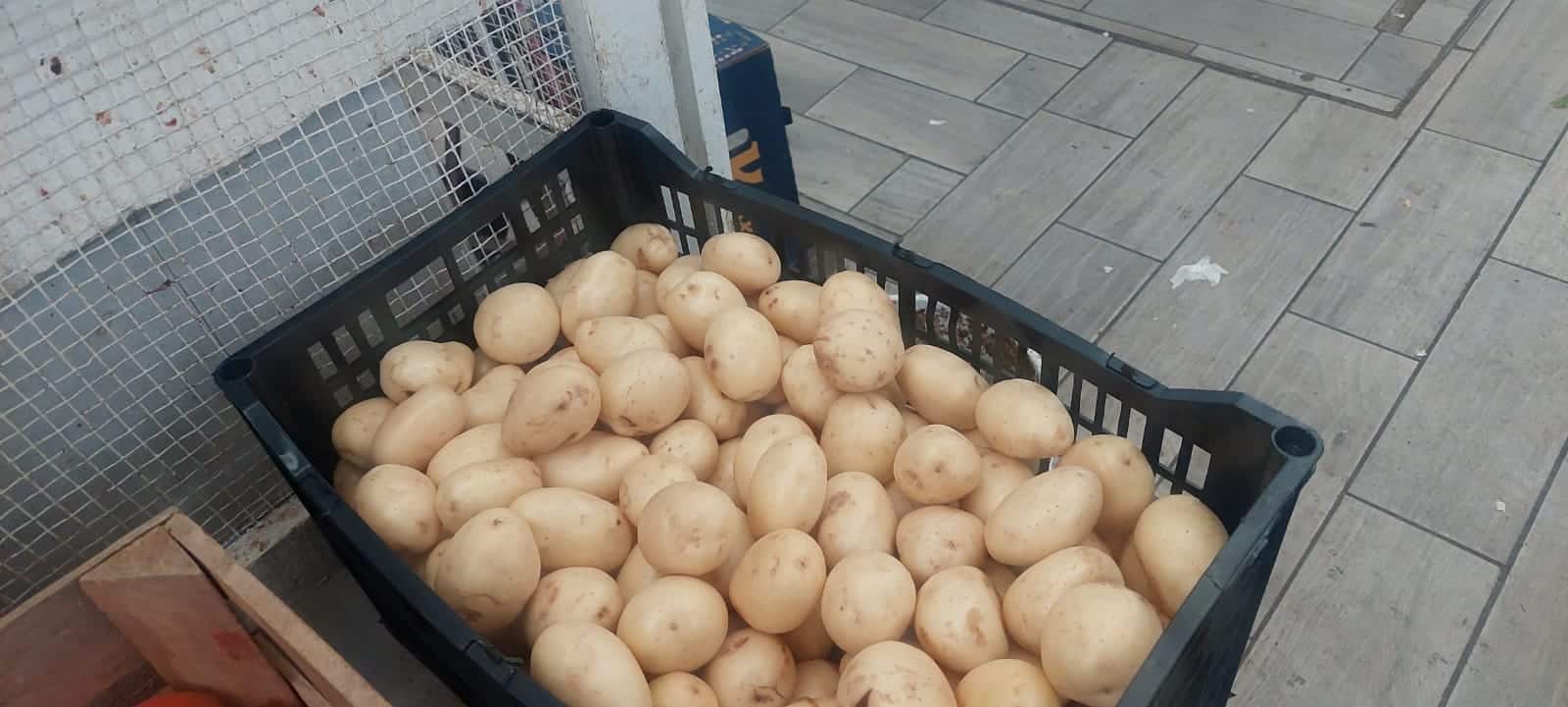 Papa enferma