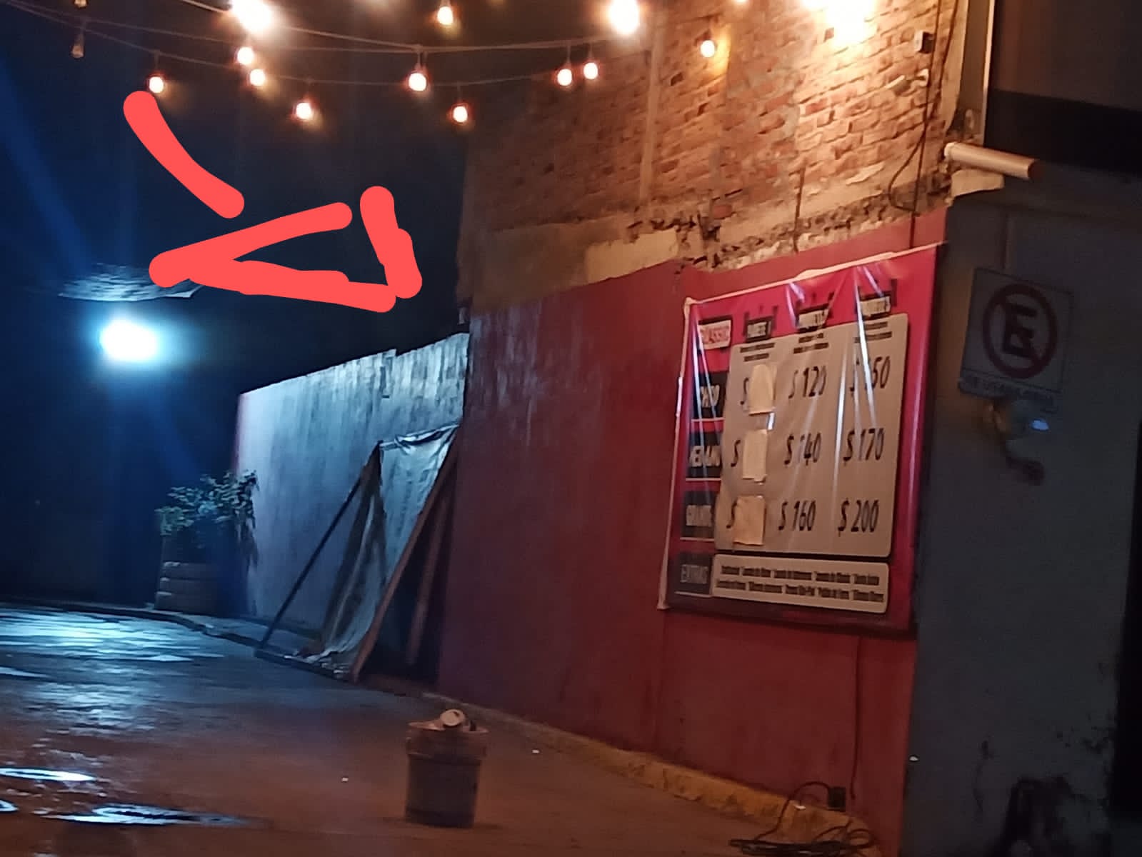 Denuncian maltrato animal