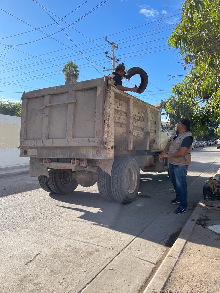 Descacharrización Ahome