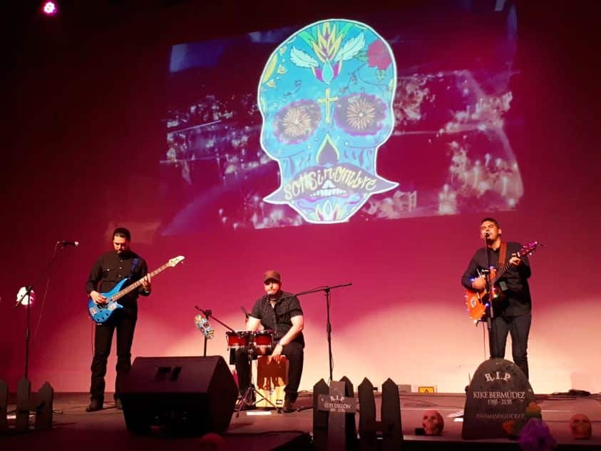 Día del Músico 