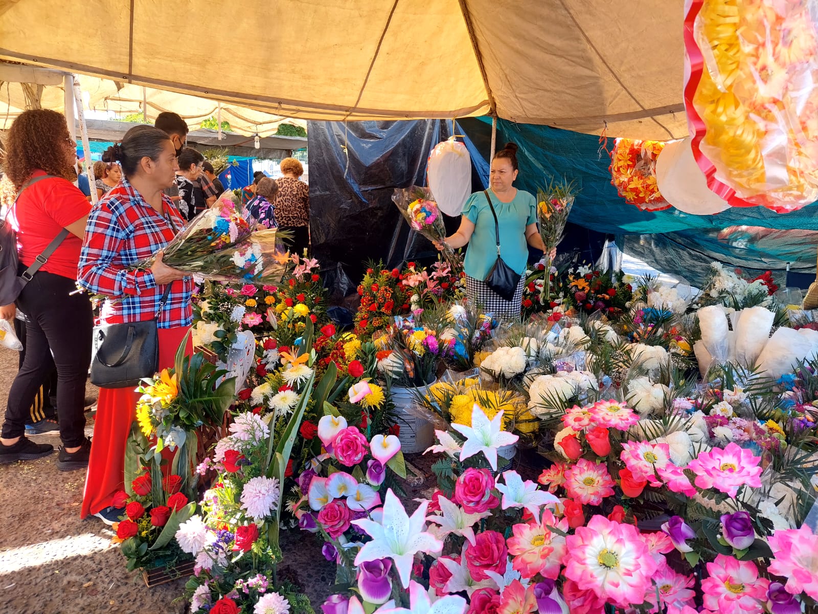 Flores Guasave