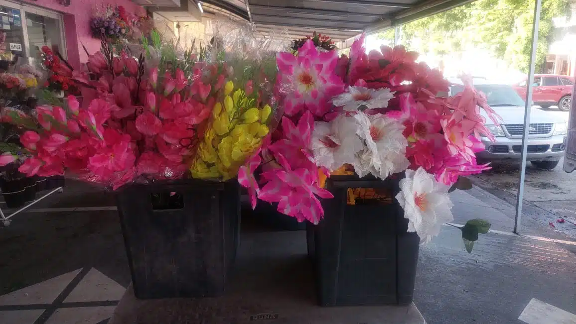 Flores, Florería Ahome