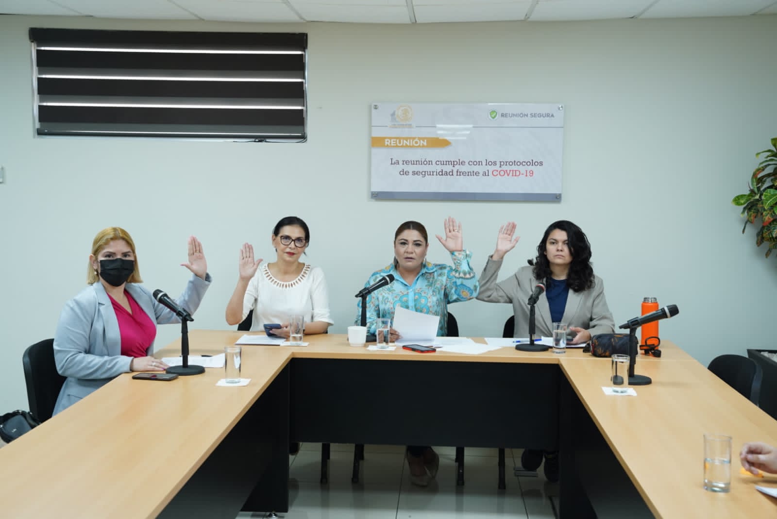 reforma a la Ley Orgánica del Congreso