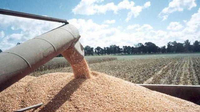 Llaman a quienes entregaron su cosecha bajo agricultura por contrato, para que concluyan su trámite