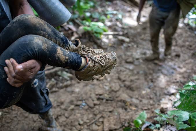Más de 7 mil ecuatorianos cruzan el peligroso Tapón del Dairen en su camino a EU