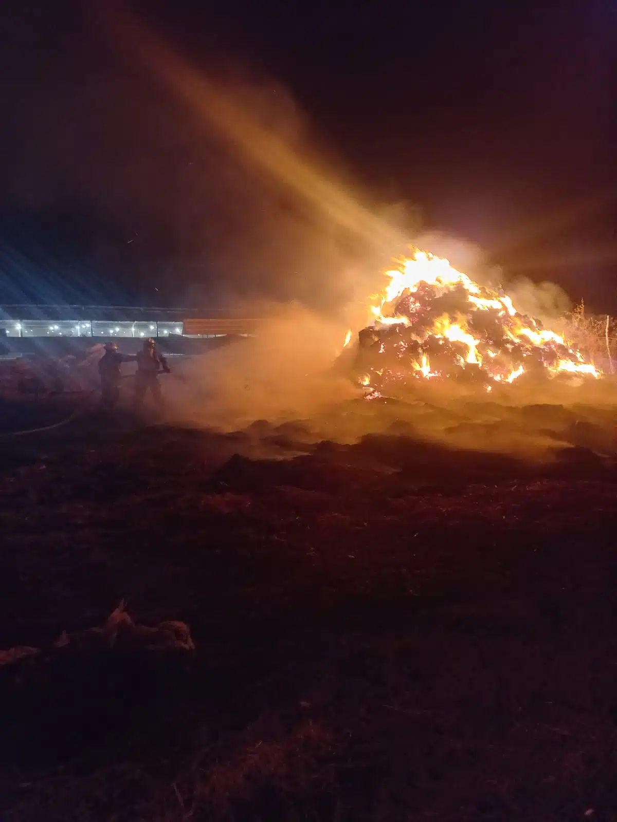 Pastura incendiada, Fuego, Accidente Guasave