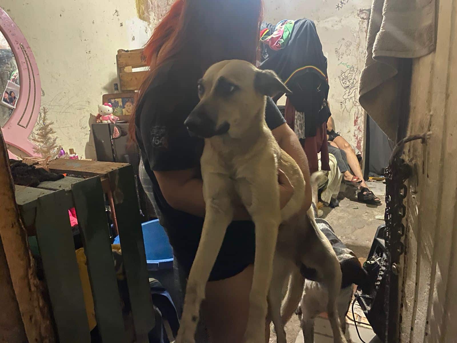 Perrita, Incendio