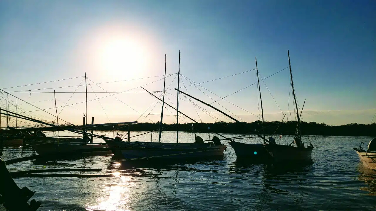 Pesca en Sinaloa