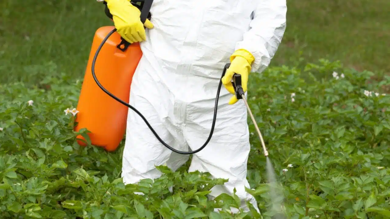 que plantea para eliminar gradualmente el uso de más de 180 plaguicidas y herbicidas