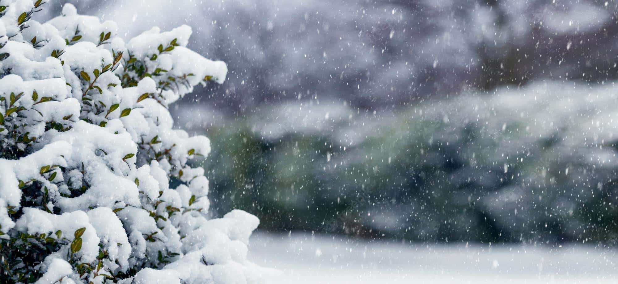 Primera tormenta invernal de la temporada vientos lluvia nevadas