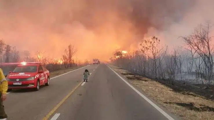 Reportan fuertes incendios forestales en Salta, Argentina