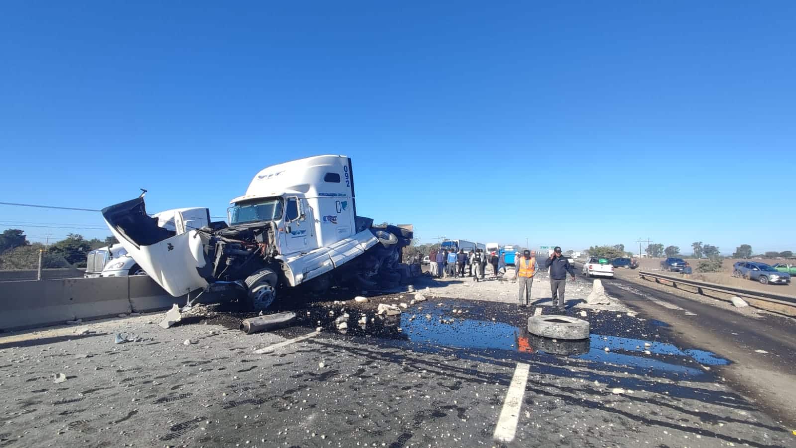 ¡vuelca Con Todo Y Vacas Tráiler Que Transportaba Ganado Sufre