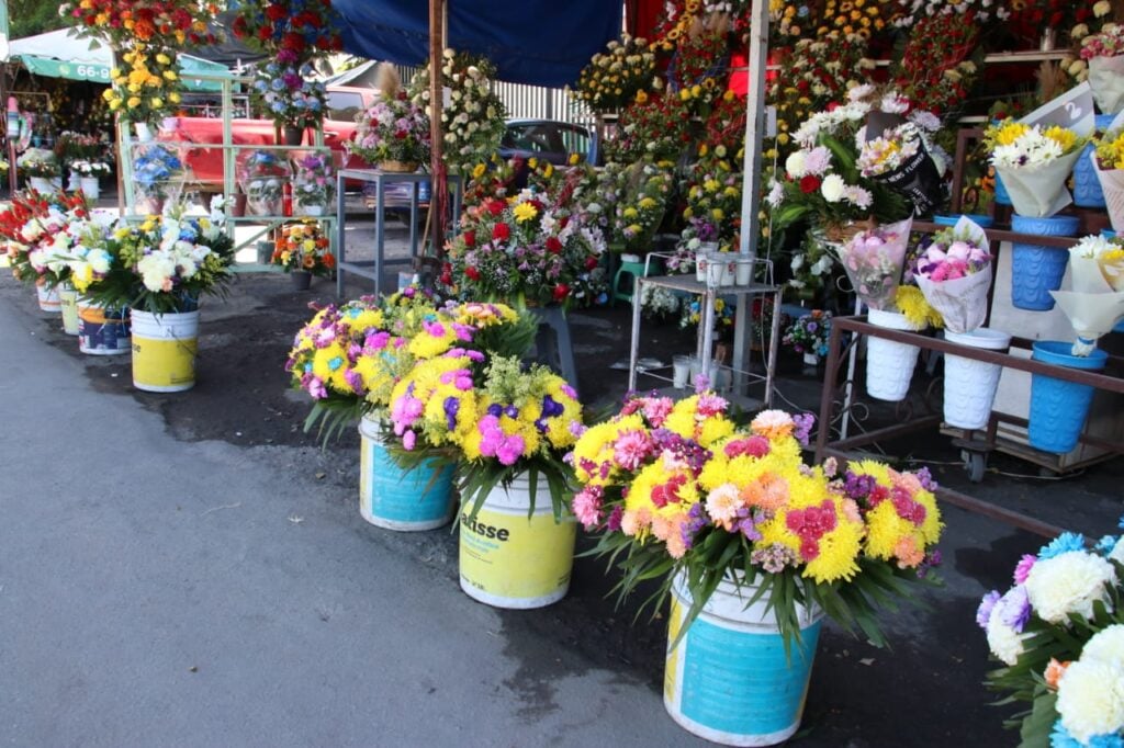 ¡Buenos números! Celebración a los fieles difuntos reactiva la venta de flores en Mazatlán