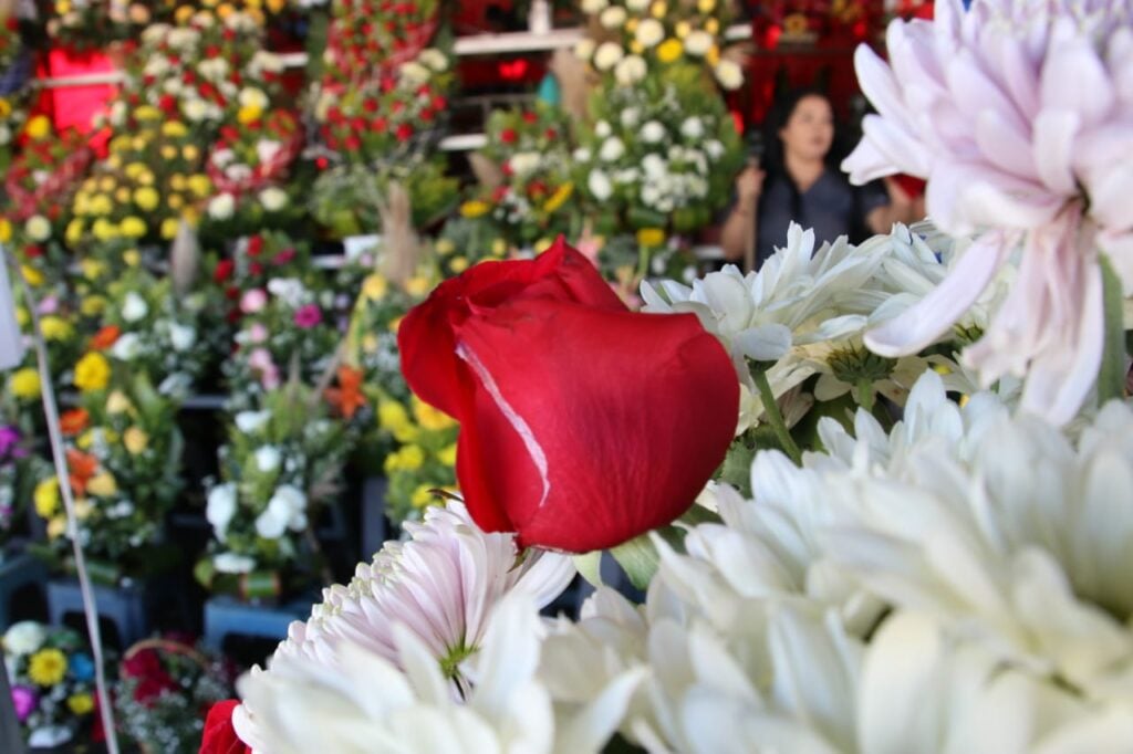 ¡Buenos números! Celebración a los fieles difuntos reactiva la venta de flores en Mazatlán