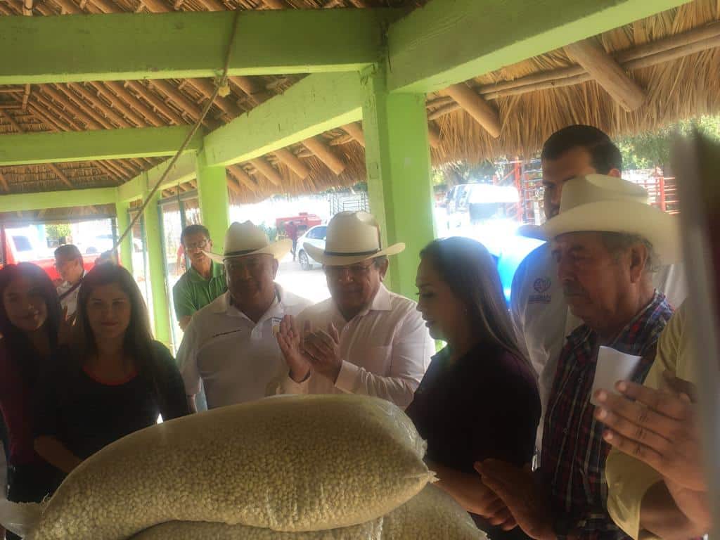 ¡A sembrar! Entregan 19 toneladas de semilla de frijol a productores de temporal en Escuinapa