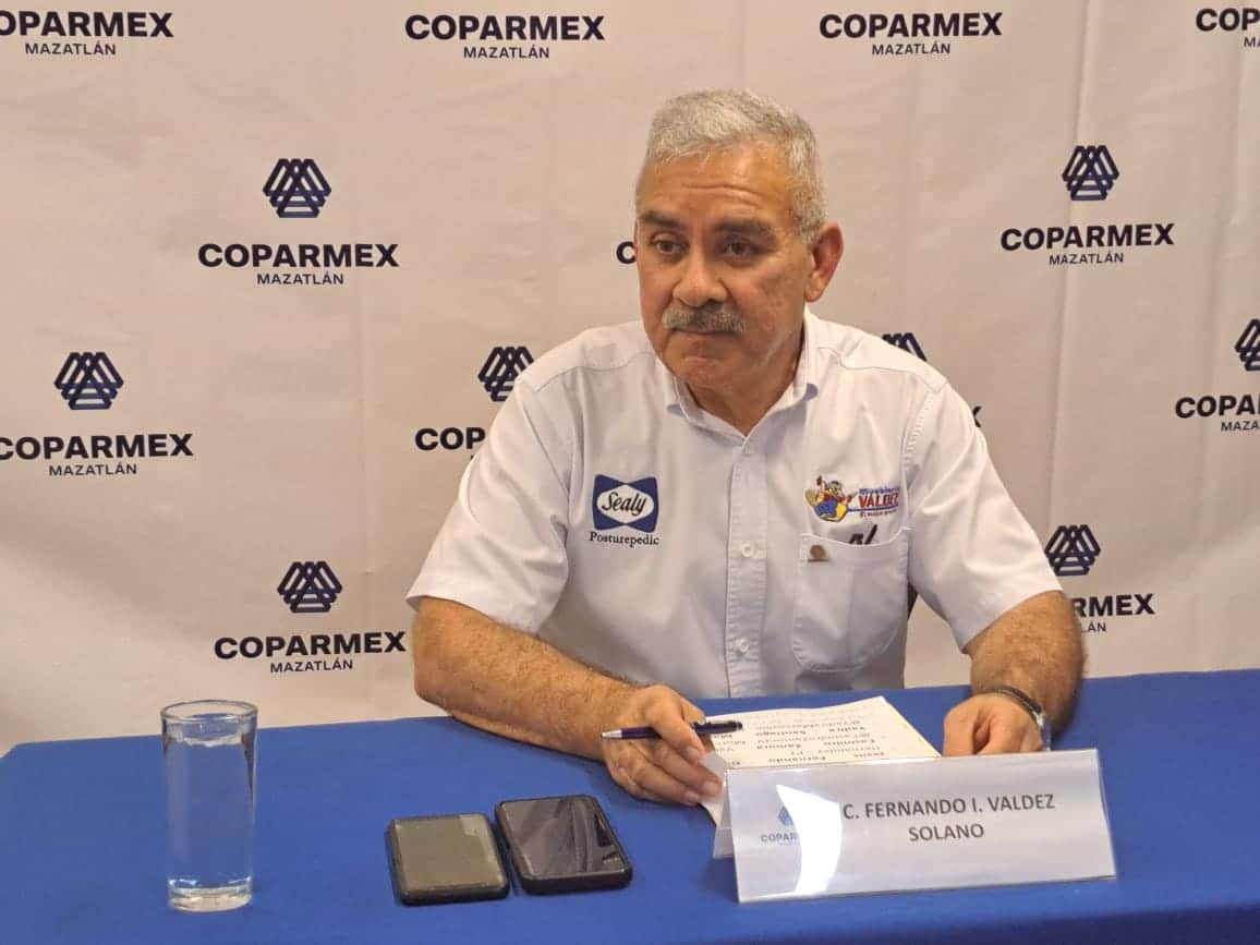 Fernando Valdez Solano, presidente de Coparmex en la zona sur