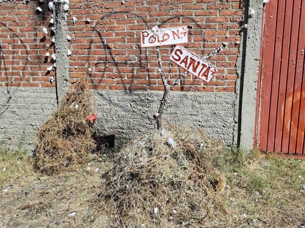 “El Tico” le da vida y alegría a calle del fraccionamiento Palos Prietos, con un gran árbol navideño realizado con basura