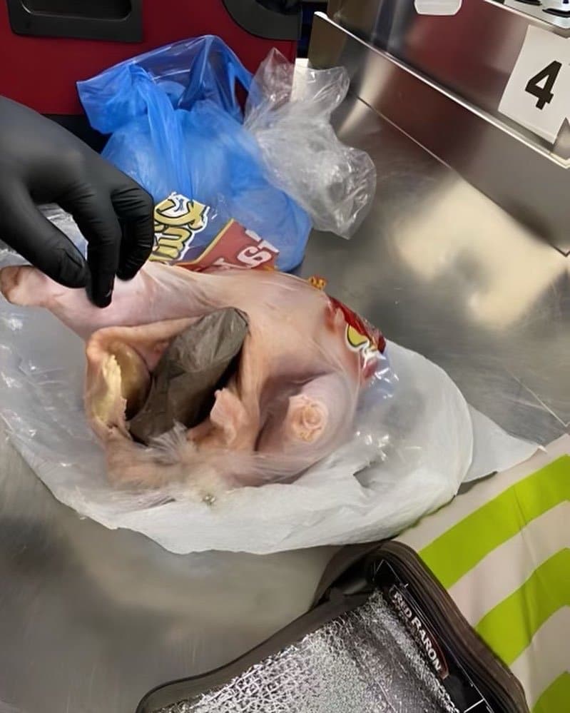 arma dentro de una gallina cruda