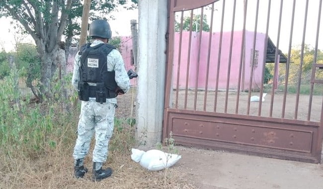 cristal sinaloa Guardia