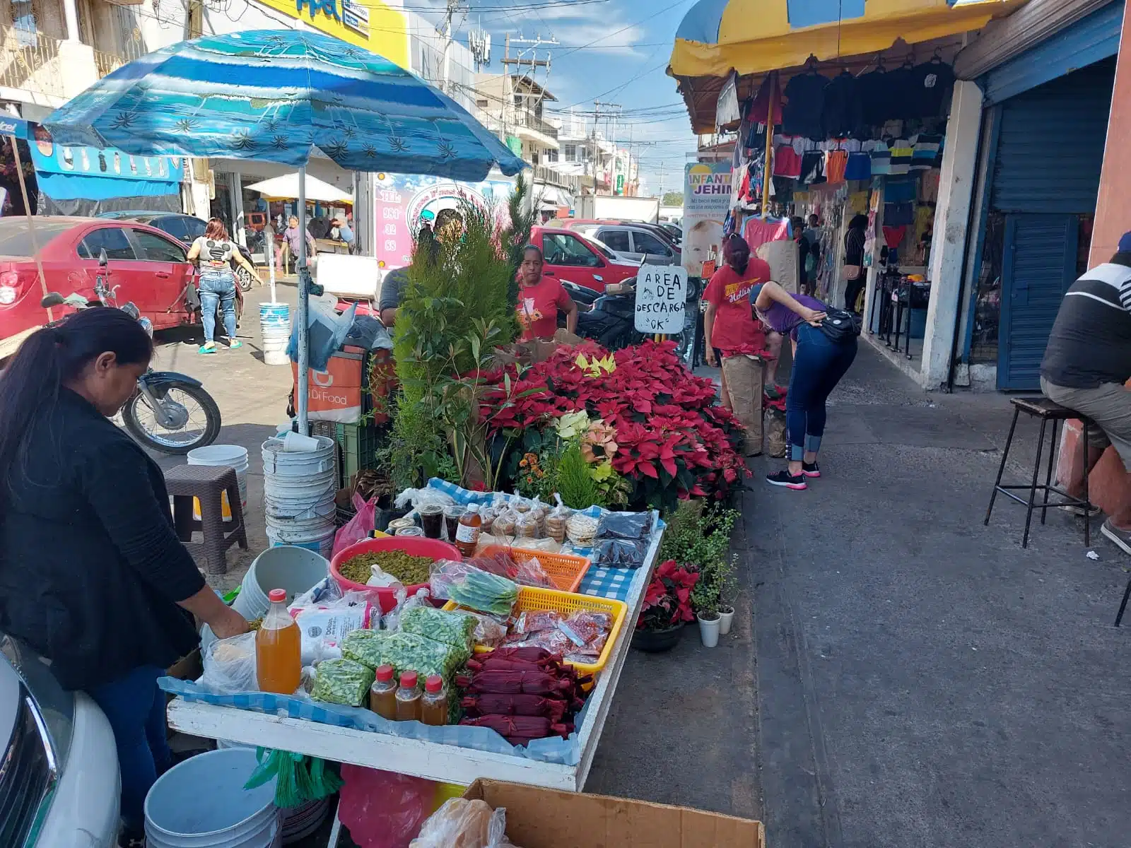 mercado Hidalgo en Mazatlán