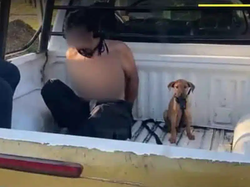 perrito acompaña a su dueño hasta la cárcel