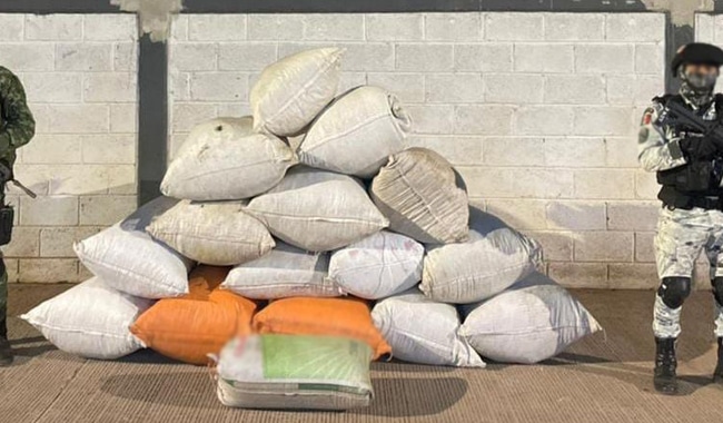 Guardia Nacional Marihuana