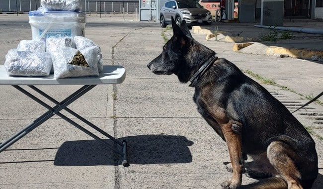 Guardia Nacional