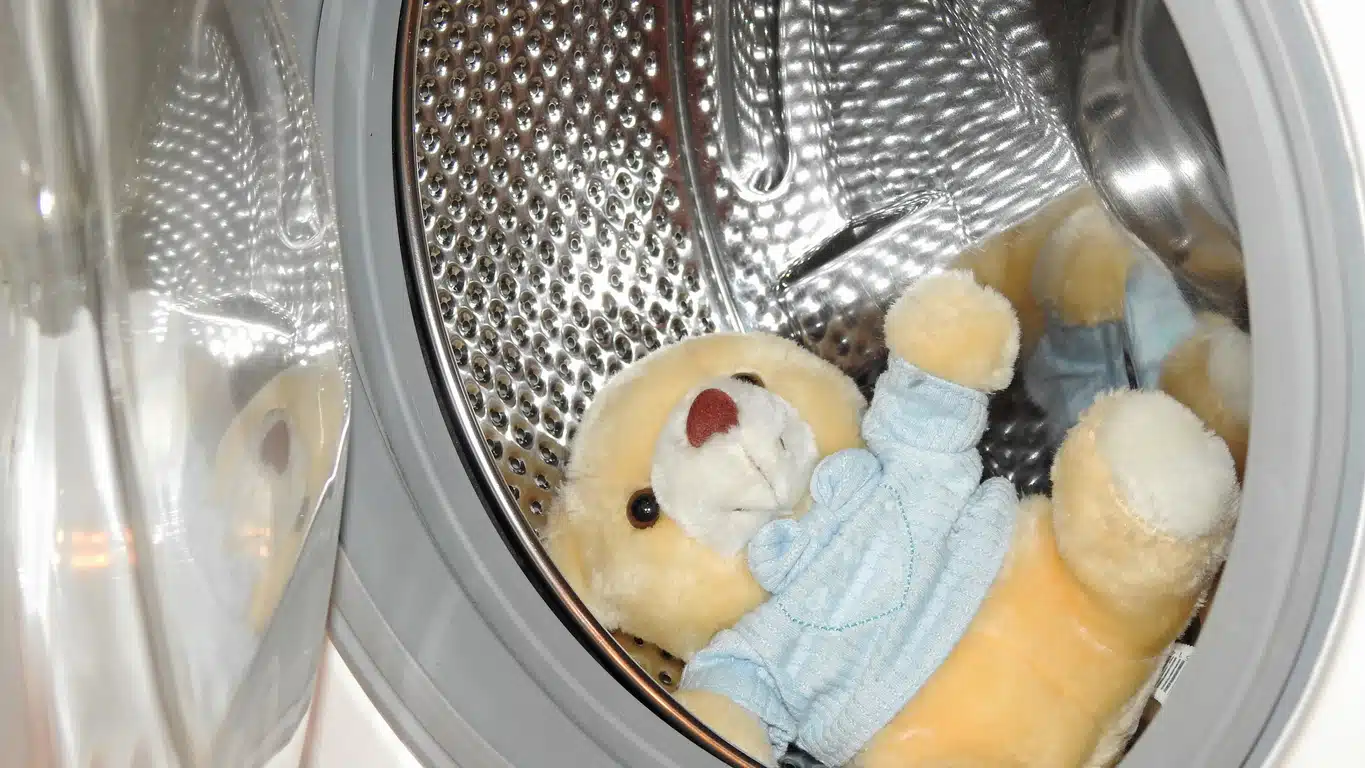 ¡Horror! Asesinaron a su hijo adoptivo y lo escondieron dentro de una lavadora
