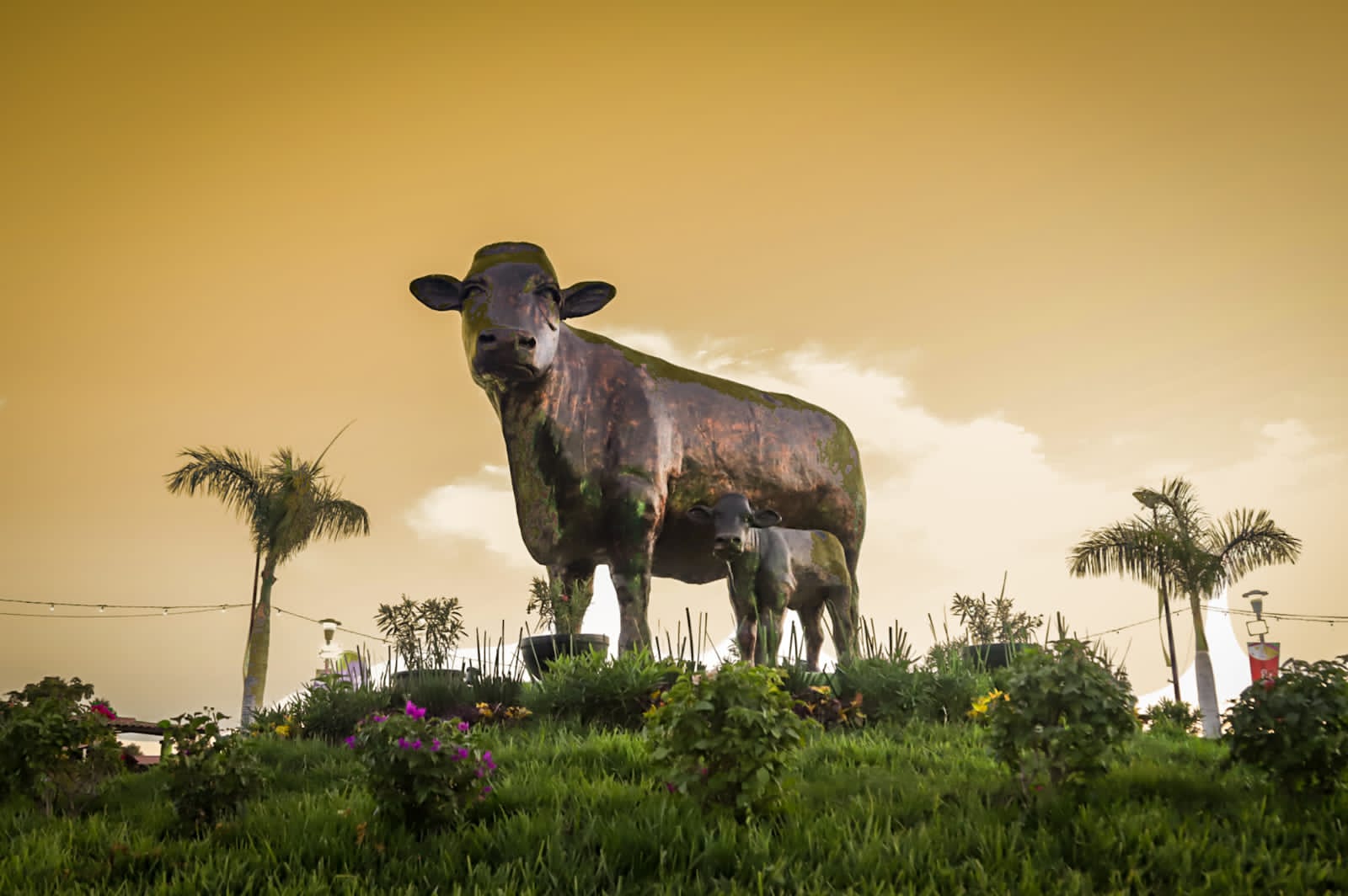 ¡Inauguración espectacular! Arranca la Expo Ganadera Sinaloa 2022 en Culiacán07