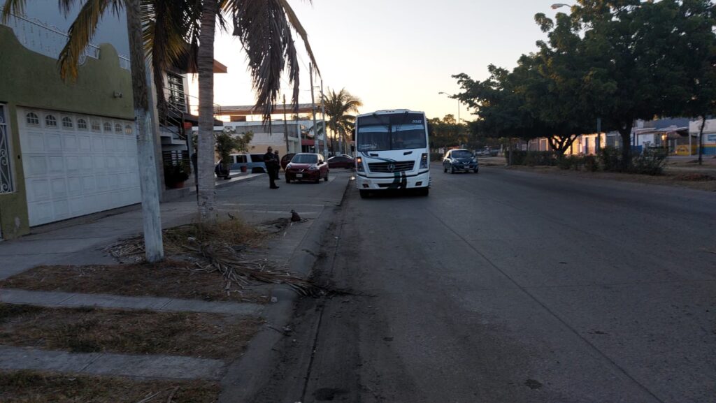 ¡Mañana accidentada! Camioneta choca con un camión en Mazatlán; derribó un árbol ¡Aparatoso accidente! Camioneta choca con un camión y derriba un árbol en Mazatlán