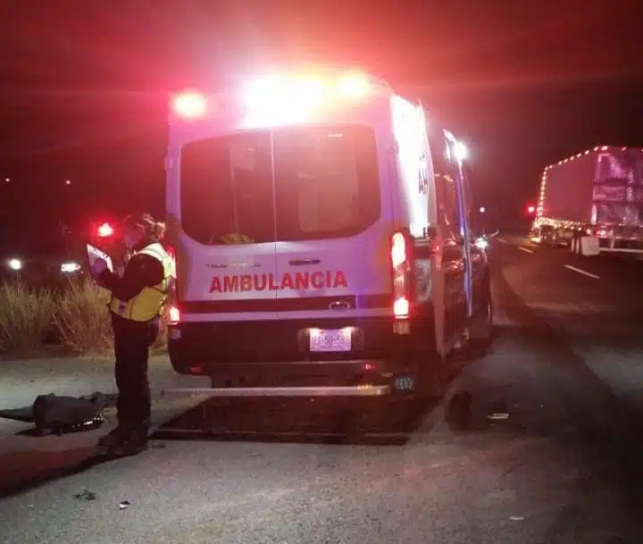 Ambulancia Atropellado México 15 Ahome Policíaca Carrizo