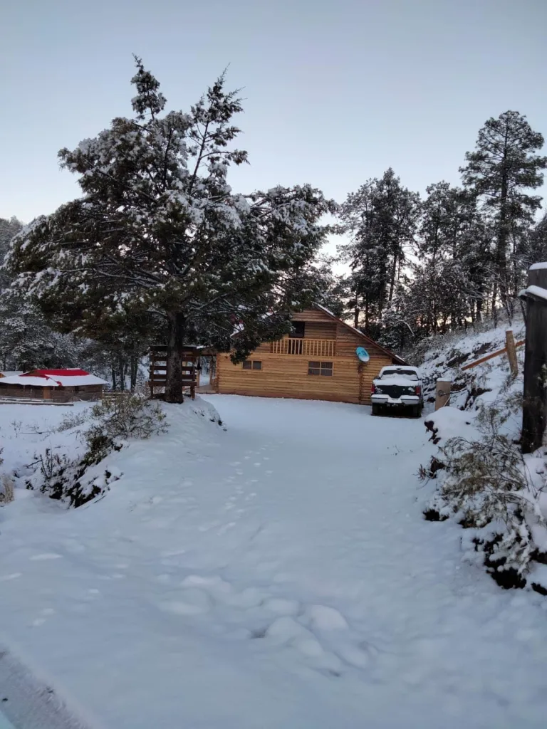 ¡Se pintan de blanco! En estos tres bellos lugares, cae nieve en Sinaloa y puedes visitarlos