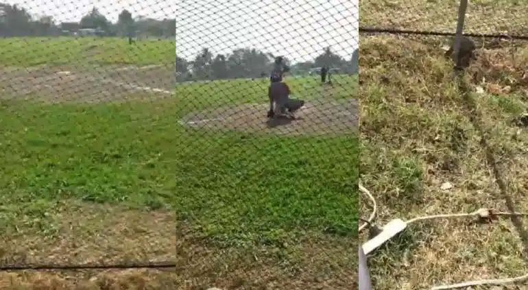 VIDEO: ¡De terror! Ejecutan en pleno partido de beisbol a jugador en el campo